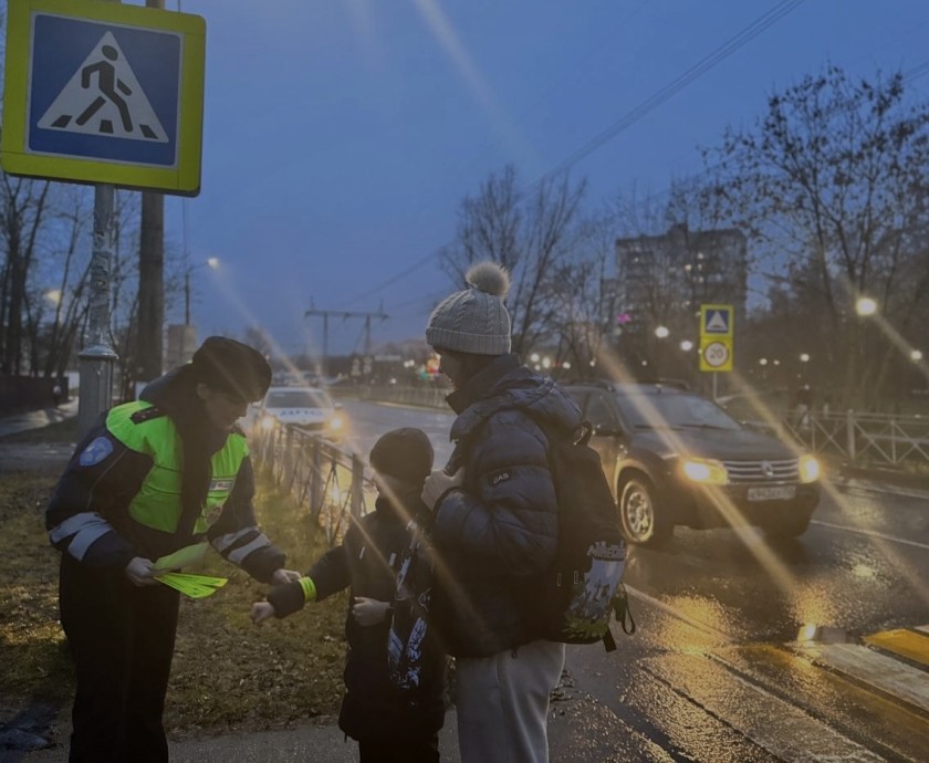 СОТРУДНИКИ ПОДМОСКОВНОЙ ГОСАВТОИНСПЕКЦИИ НАПОМНИЛИ ПЕШИМ УЧАСТНИКАМИ ДОРОЖНОГО ДВИЖЕНИЯ О СТРОГОМ СОБЛЮДЕНИИ ПДД