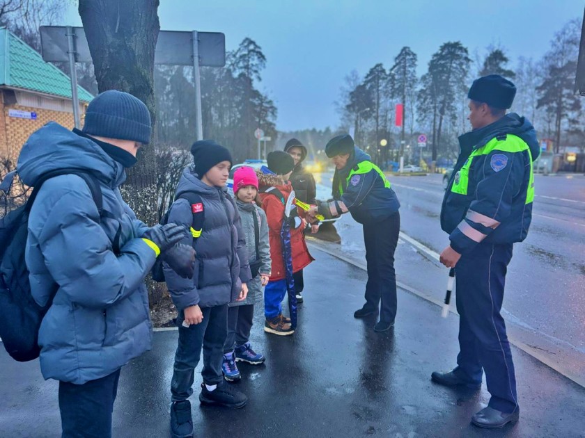 СОТРУДНИКИ ПОДМОСКОВНОЙ ГОСАВТОИНСПЕКЦИИ НАПОМНИЛИ ПЕШИМ УЧАСТНИКАМИ ДОРОЖНОГО ДВИЖЕНИЯ О СТРОГОМ СОБЛЮДЕНИИ ПДД