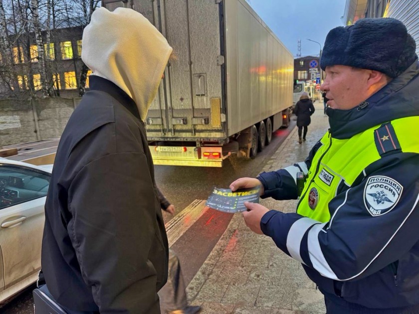 Сотрудники Подмосковной Госавтоинспекции призывают пешеходов стать ЯРЧЕ И ЗАМЕТНЕЕ! ЗАСВЕТИТЕСЬ!