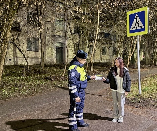 Основные рекомендации для пешеходов