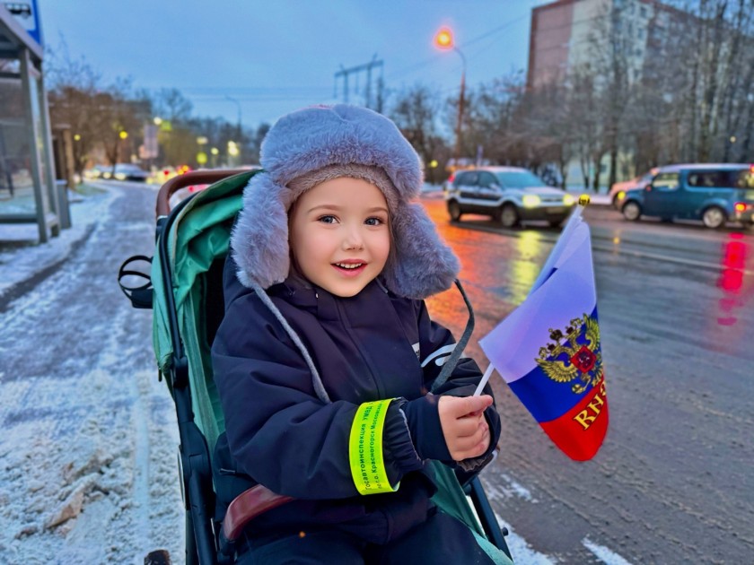 Автоинспекторы Подмосковья вручили водителям издания Конституции РФ