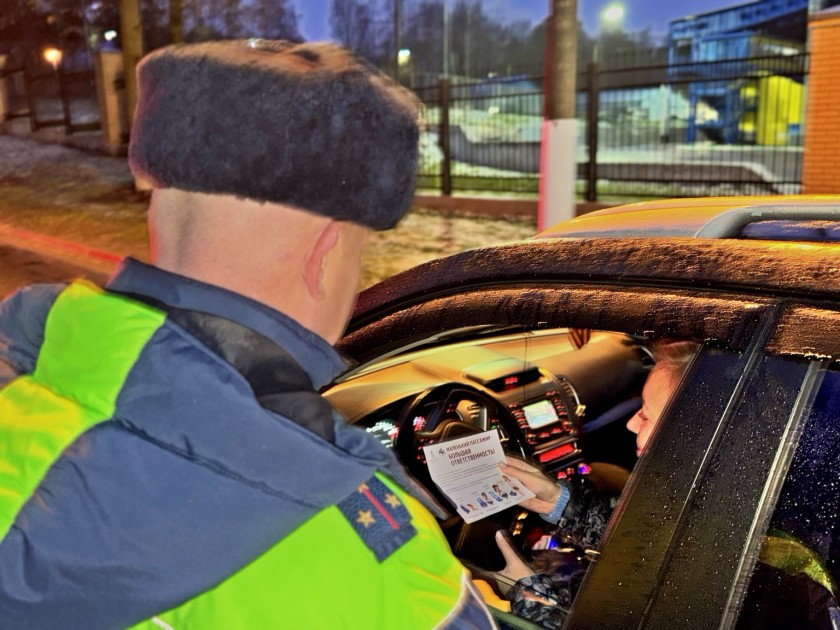 Госавтоинспекция Красногорска напомнила о правилах безопасной перевозки детей