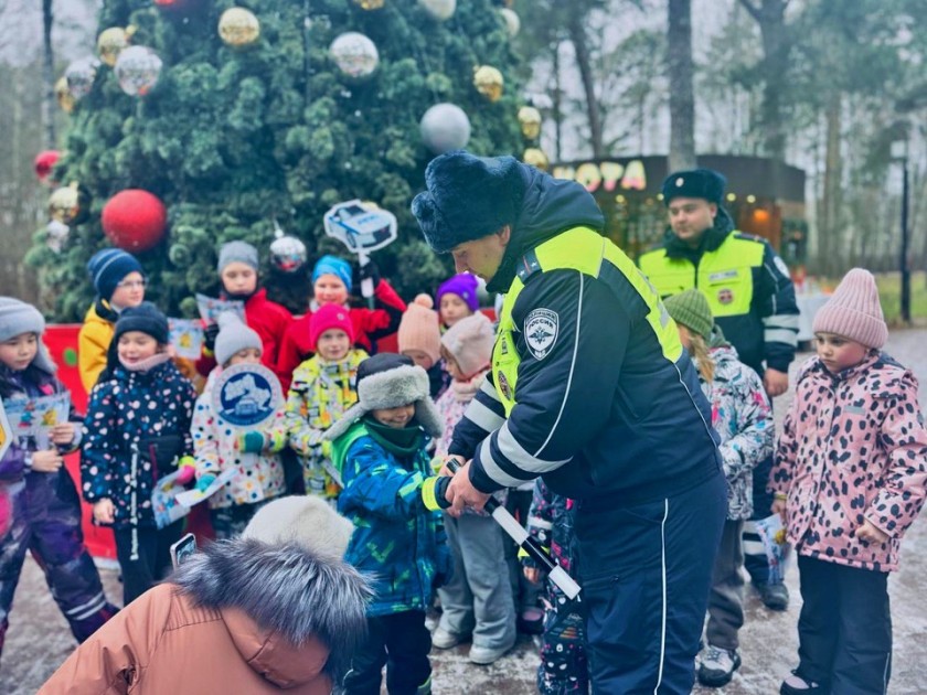 В Красногорске автоинспекторы провели профилактическое мероприятие «Засветись»
