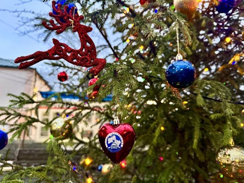 «Засветись как ёлочка!»: юные помощники украсили елку Госавтоинспекции