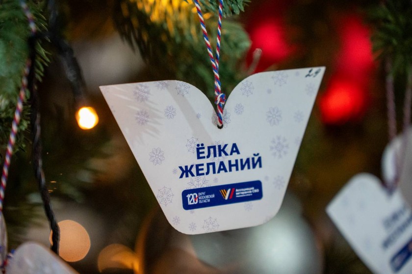 Ёлка желаний: новогоднее чудо для детей Подмосковья