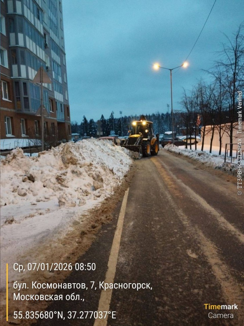 Снежным выдался январь