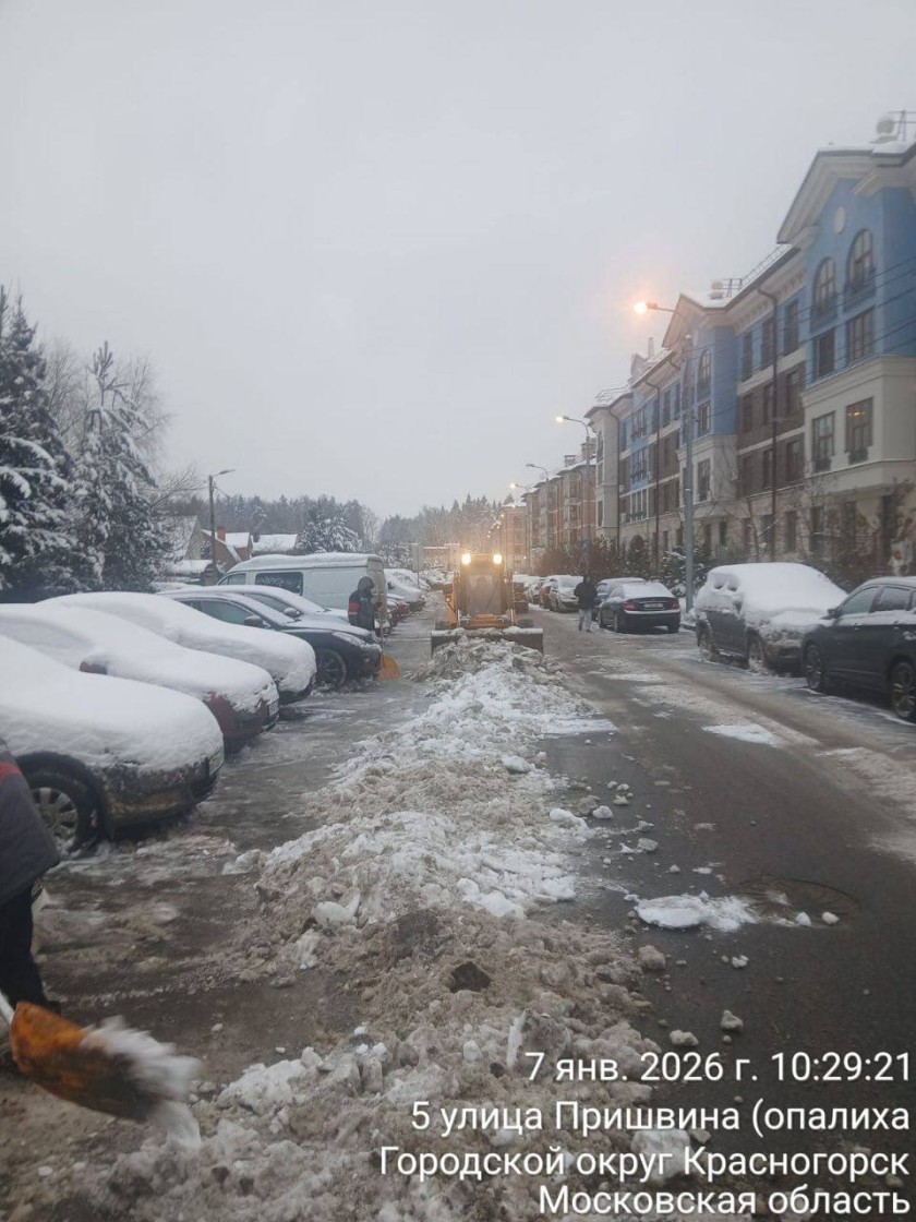 Снежным выдался январь