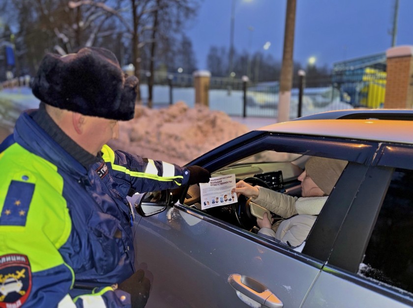 Госавтоинспекция Красногорска напомнила о правилах безопасной перевозки детей