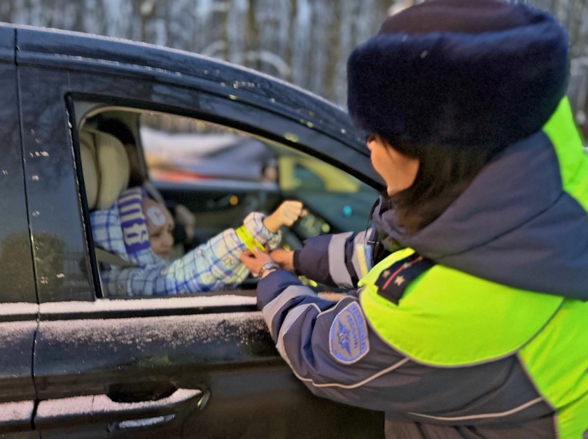 Госавтоинспекция Красногорска напомнила о правилах безопасной перевозки детей