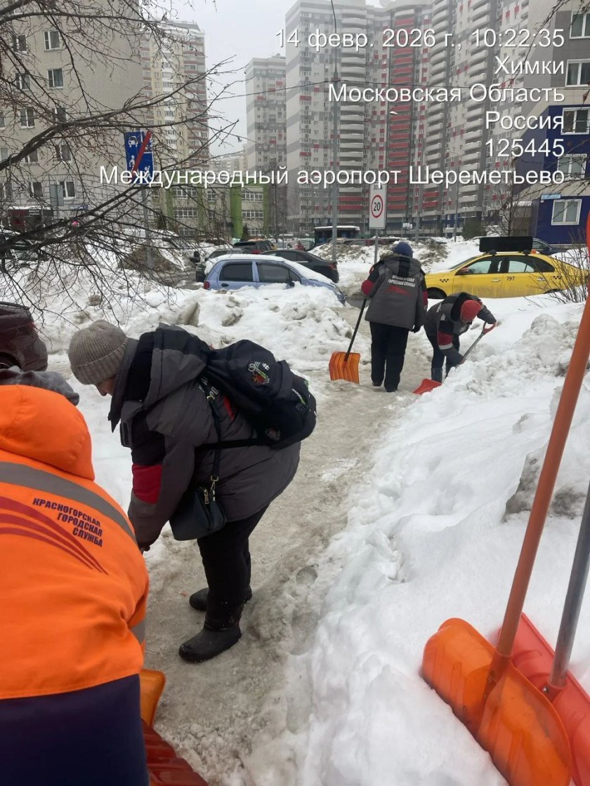 В Красногорске стартовали субботники