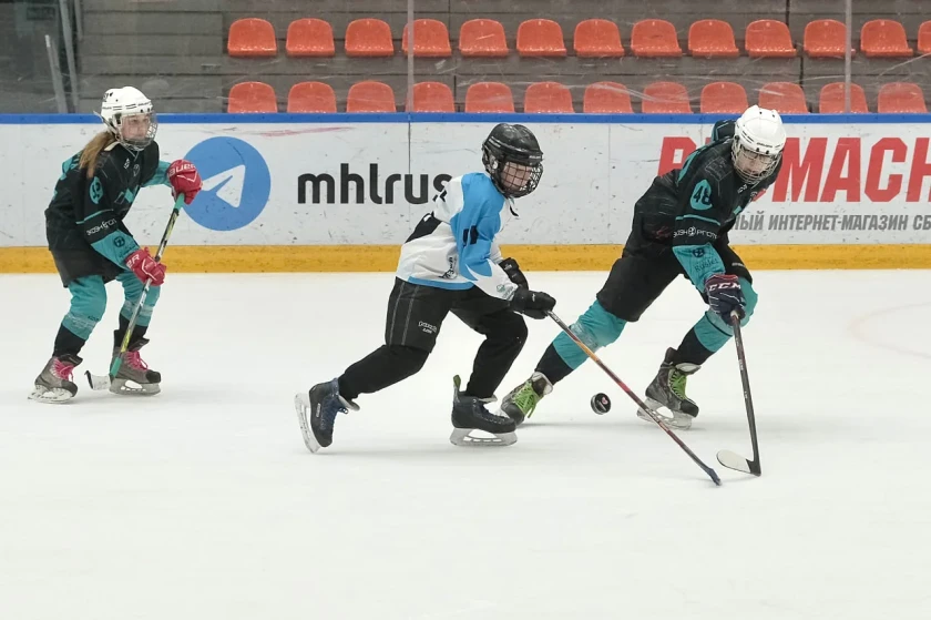 В Красногорске прошёл фестиваль по адаптивному хоккею