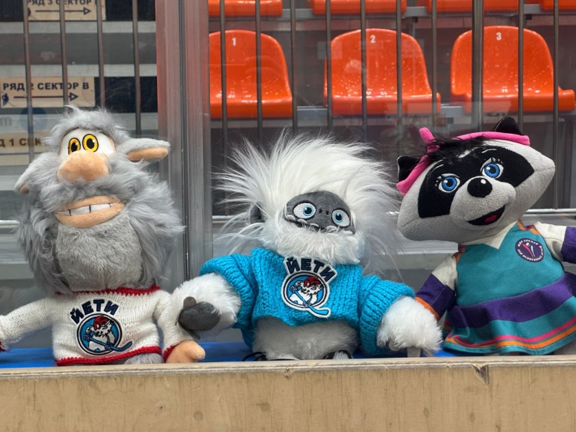 В Красногорске прошёл турнир по адаптивному хоккею «Йети приглашает друзей»!