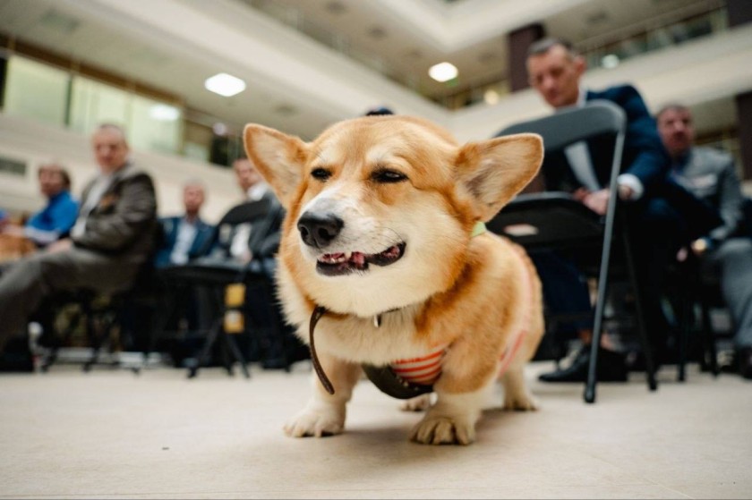 Центр помощи «Забота» расширяет направление системной поддержки участников СВО