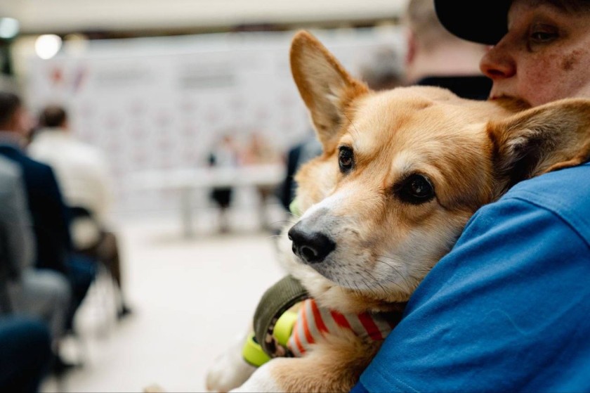 Центр помощи «Забота» расширяет направление системной поддержки участников СВО