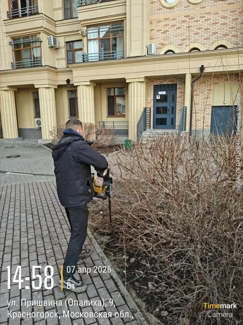 С каждым днем чище!