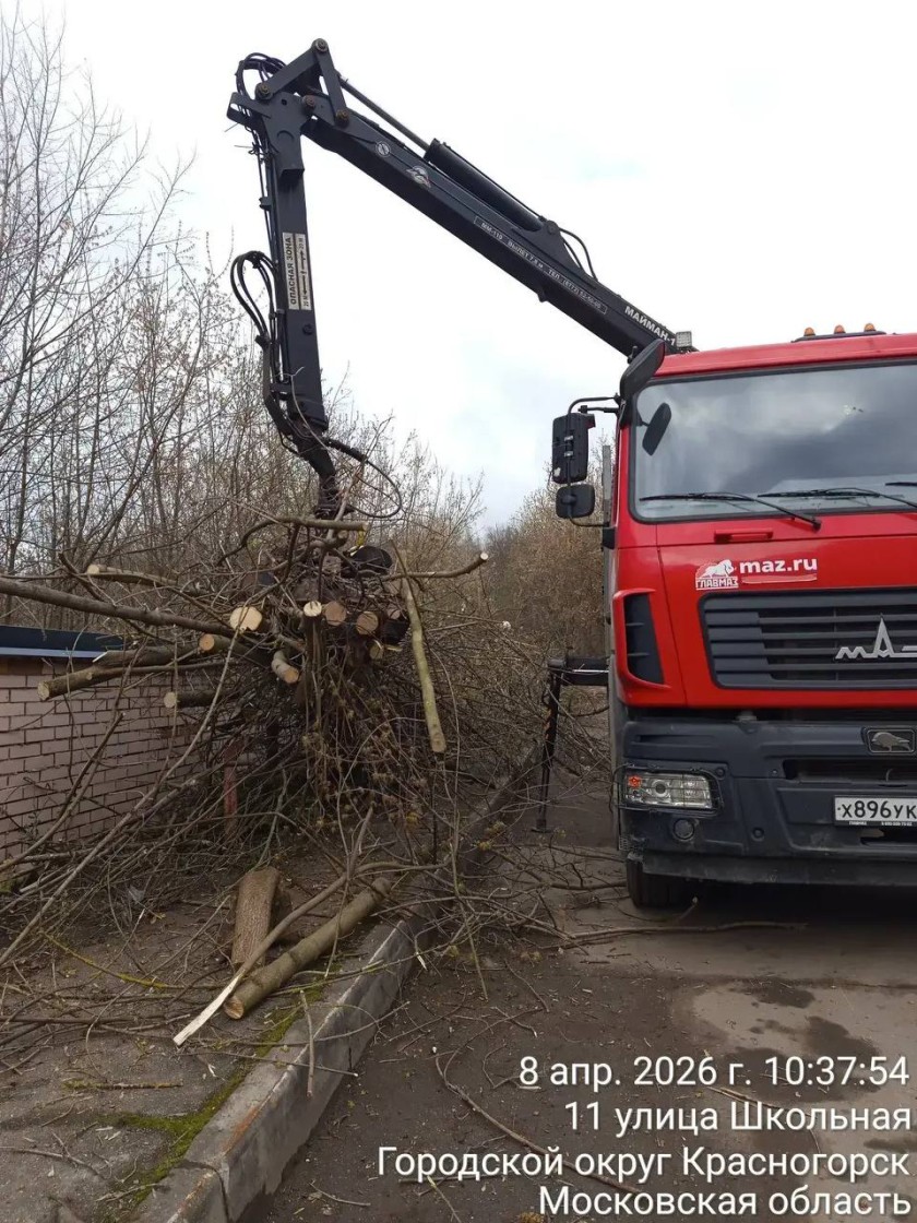 С каждым днем чище!