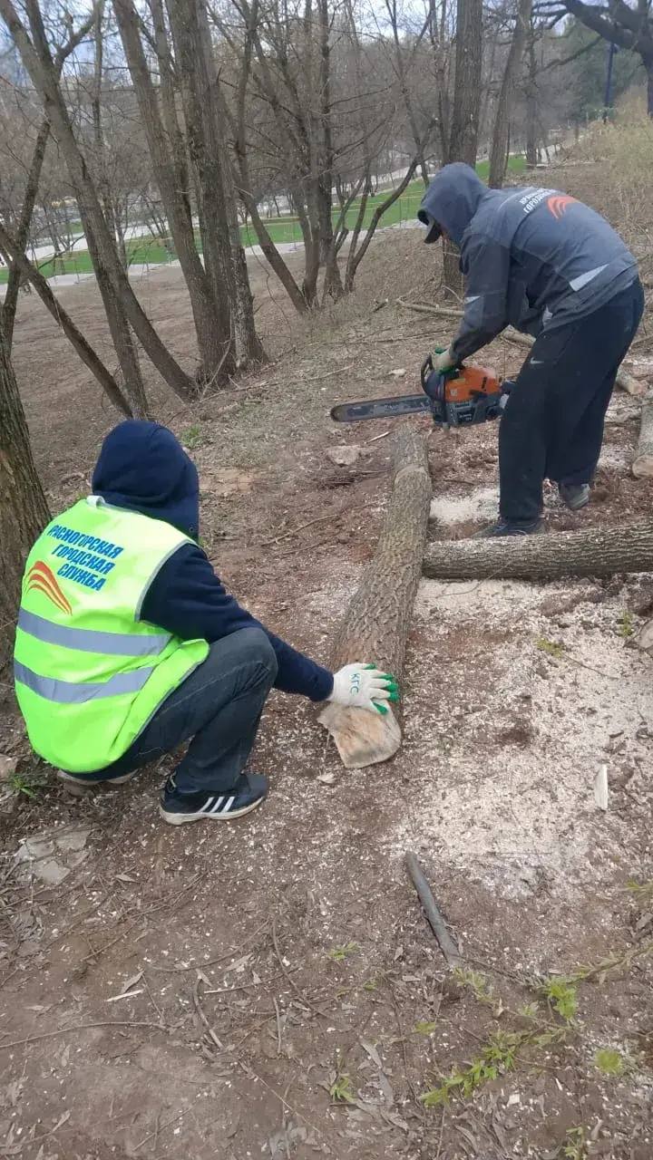 С каждым днем чище!