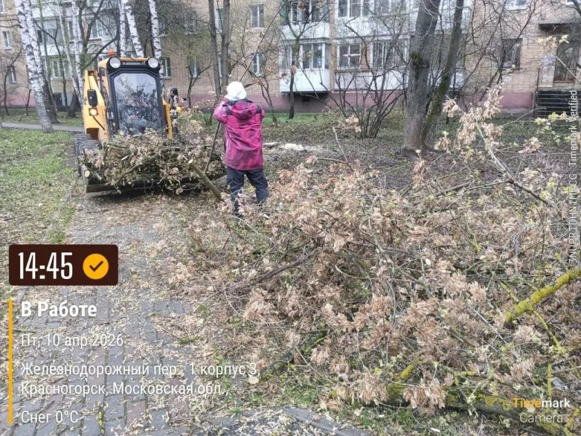 С каждым днем чище!