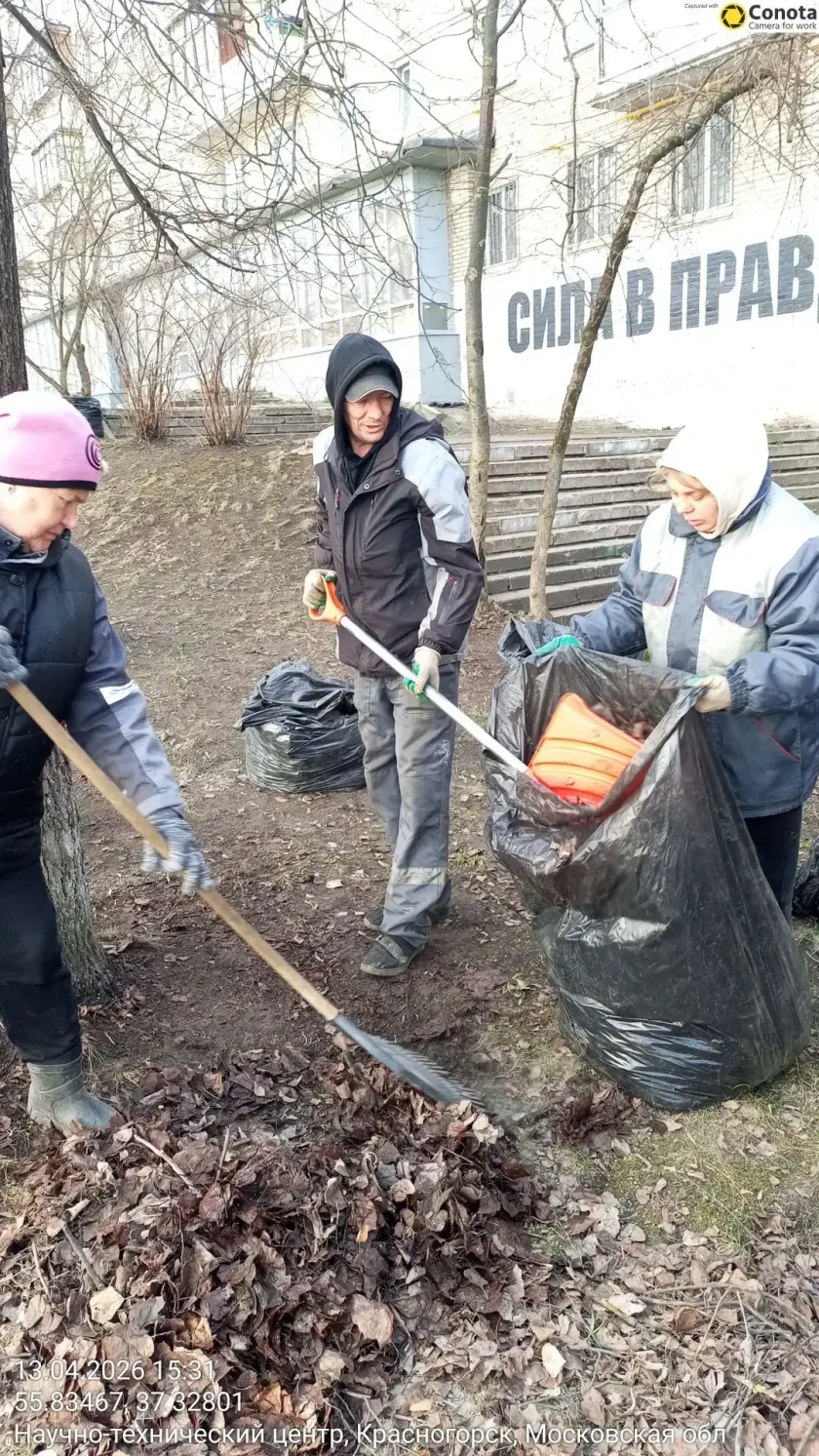 С каждым днем чище!