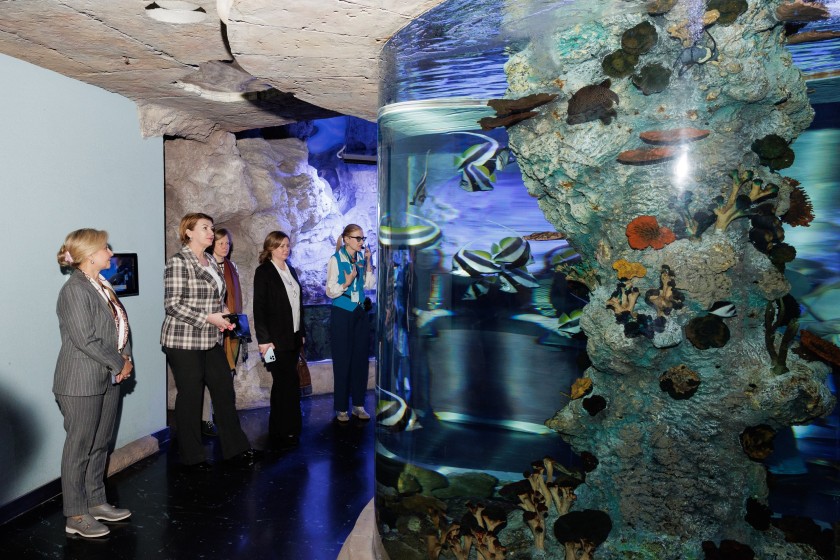 Внеурочные занятия для подмосковных школьников разработали в «Крокус Сити Океанариуме» в Красногорске