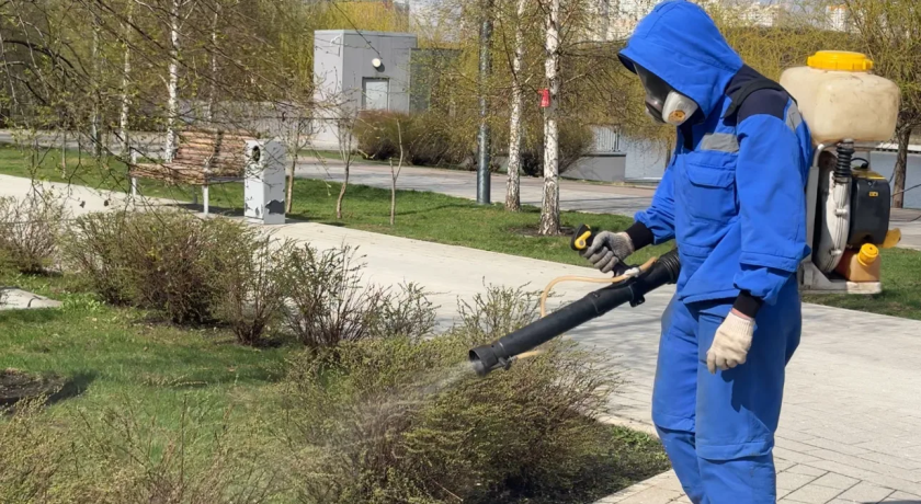 В Красногорске начались работы по акарицидной обработке парковых и зелёных зон. Сегодня работы были проведены на набережной в Павшинской пойме