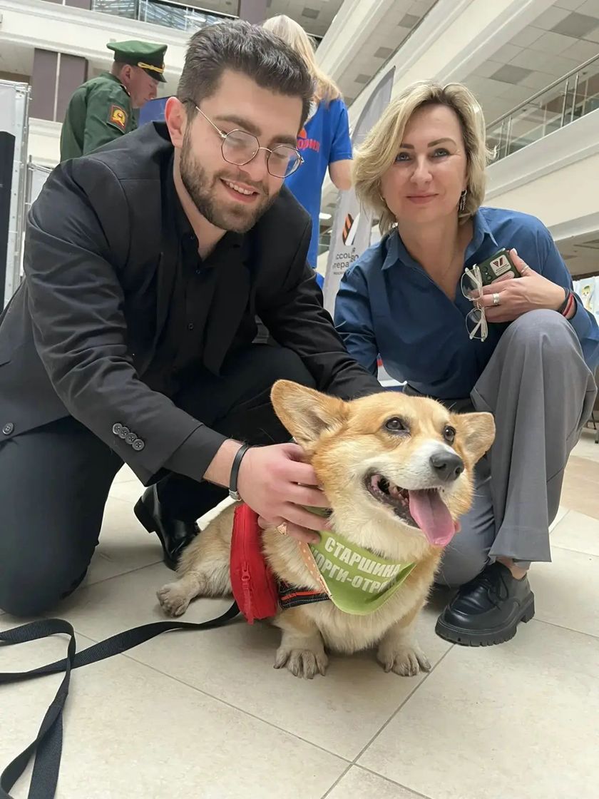 Рыжий десант на защите добра: уникальный в России корги-отряд отметил свой день рождения на площадке Ассоциации ветеранов СВО Московской области!