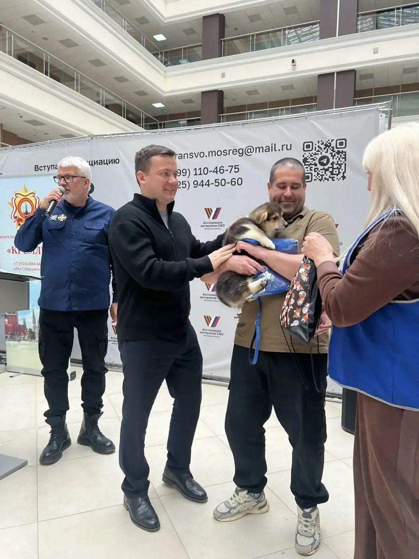 Рыжий десант на защите добра: уникальный в России корги-отряд отметил свой день рождения на площадке Ассоциации ветеранов СВО Московской области!