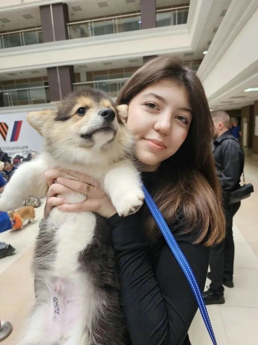 Рыжий десант на защите добра: уникальный в России корги-отряд отметил свой день рождения на площадке Ассоциации ветеранов СВО Московской области!