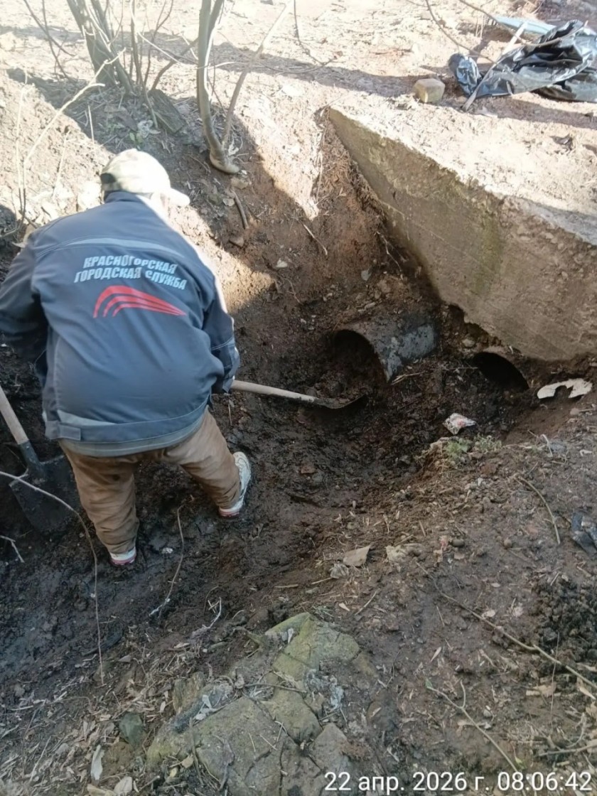 С каждым днем чище!