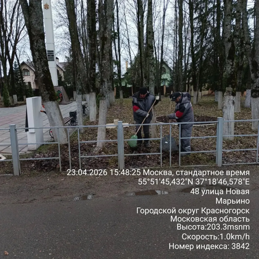 С каждым днем чище!