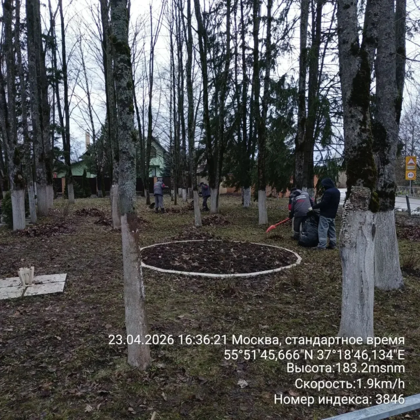 С каждым днем чище!