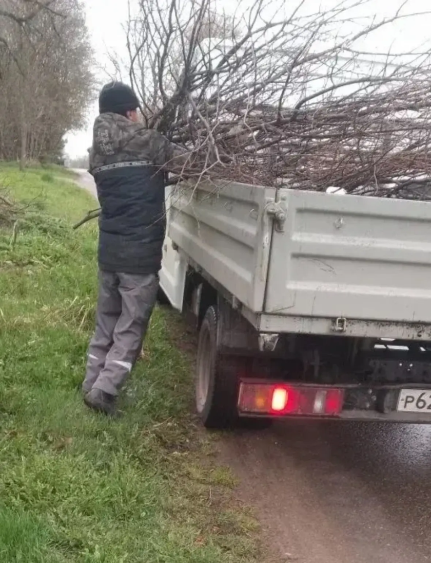 С каждым днем чище!