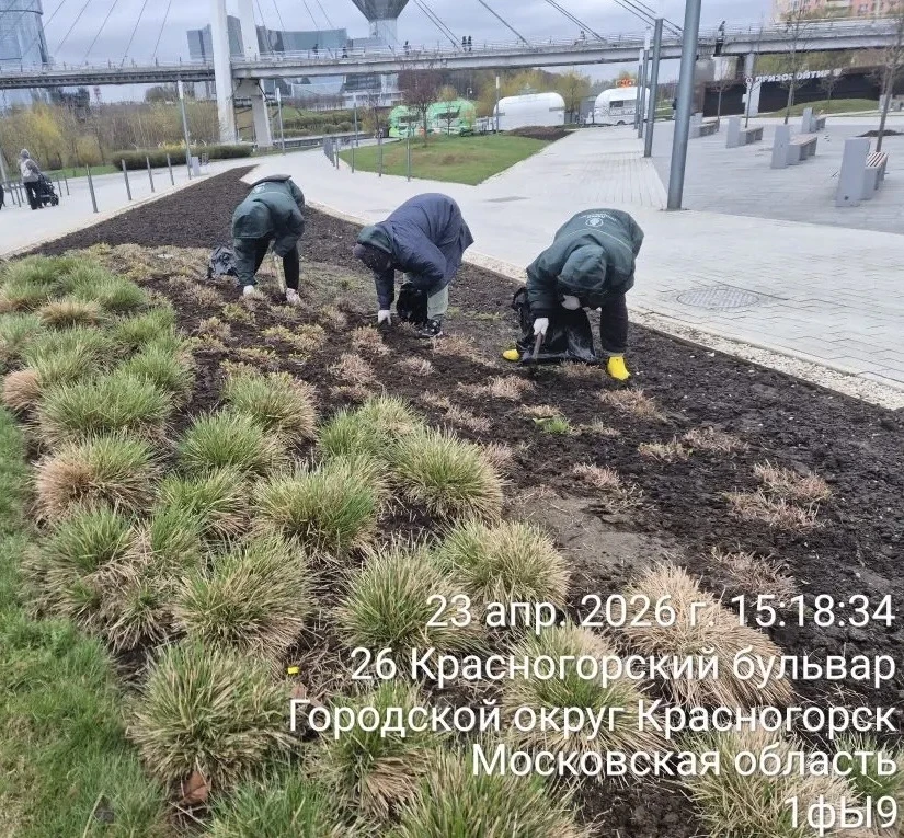 С каждым днем чище!