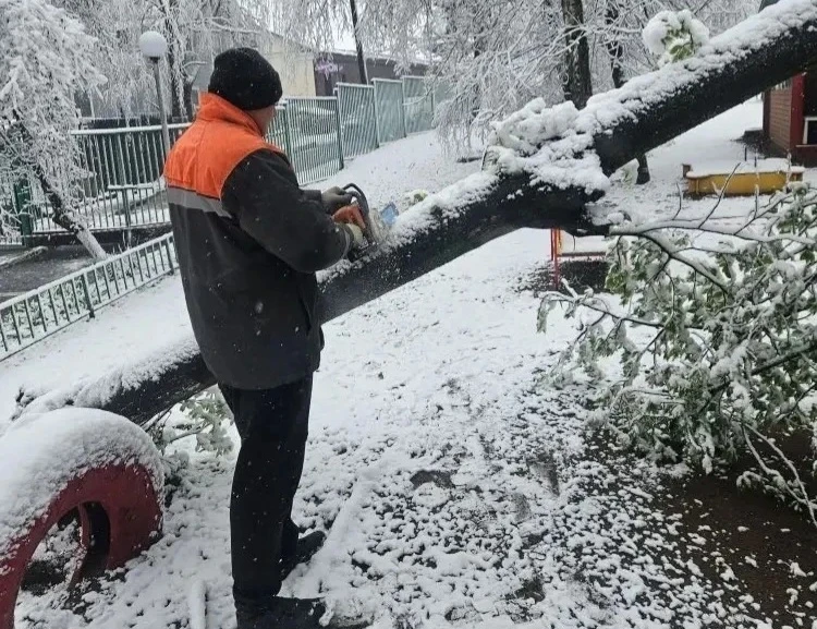 Уважаемые красногорцы!