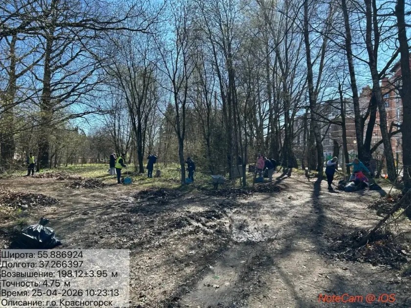 В Красногорске стартовал Всероссийский субботник