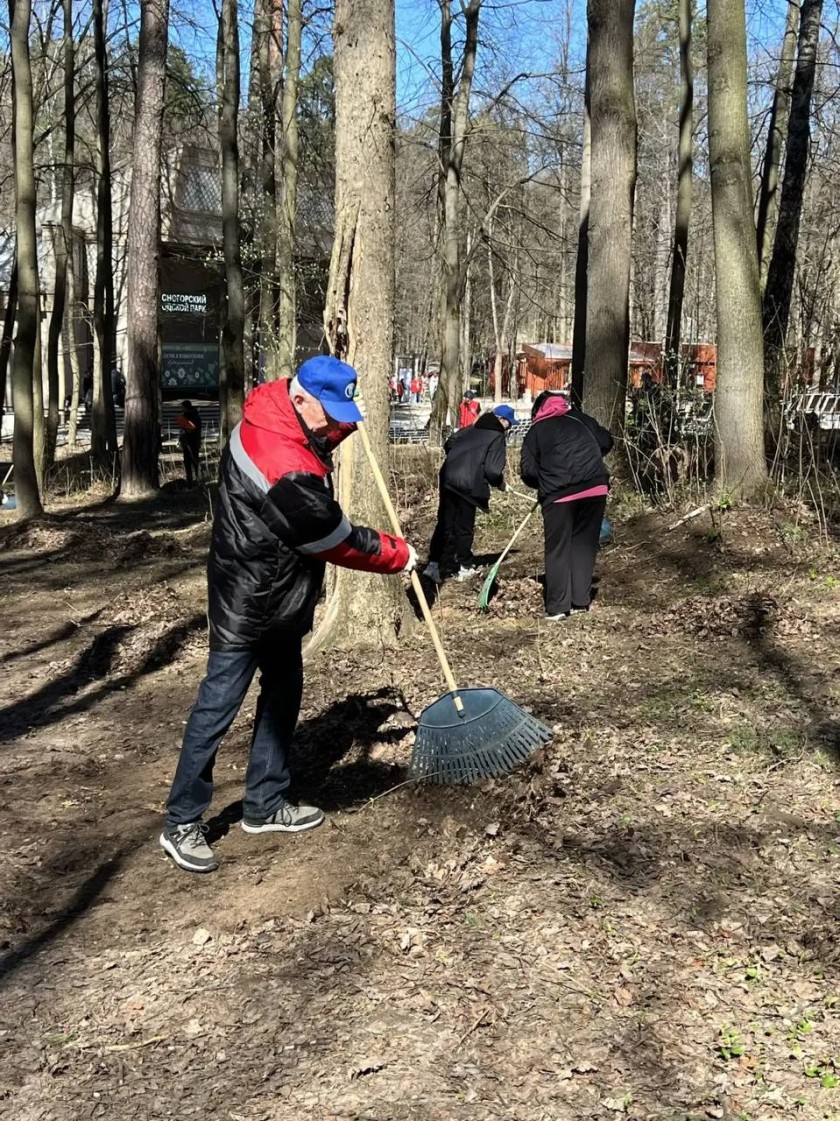 Сотрудники компании «Водоканал «Павшино» и Дворца культуры «Подмосковье» приняли участие во Всероссийском субботнике в Красногорске, на территории у «Зеленого театра» в Городском парке