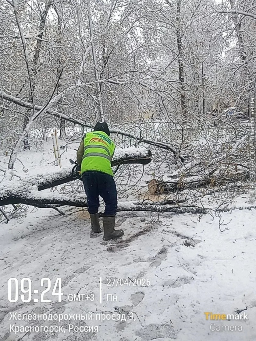 Сотрудники городских служб Красногорска продолжают работы по ликвидации последствий снегопада