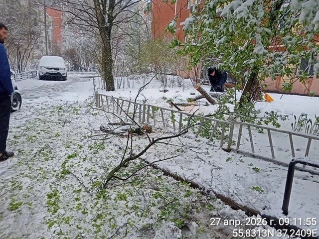 Сотрудники городских служб Красногорска продолжают работы по ликвидации последствий снегопада