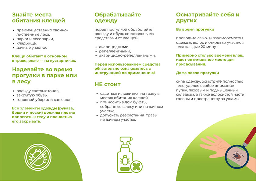 Как предотвратить присасывание клеща