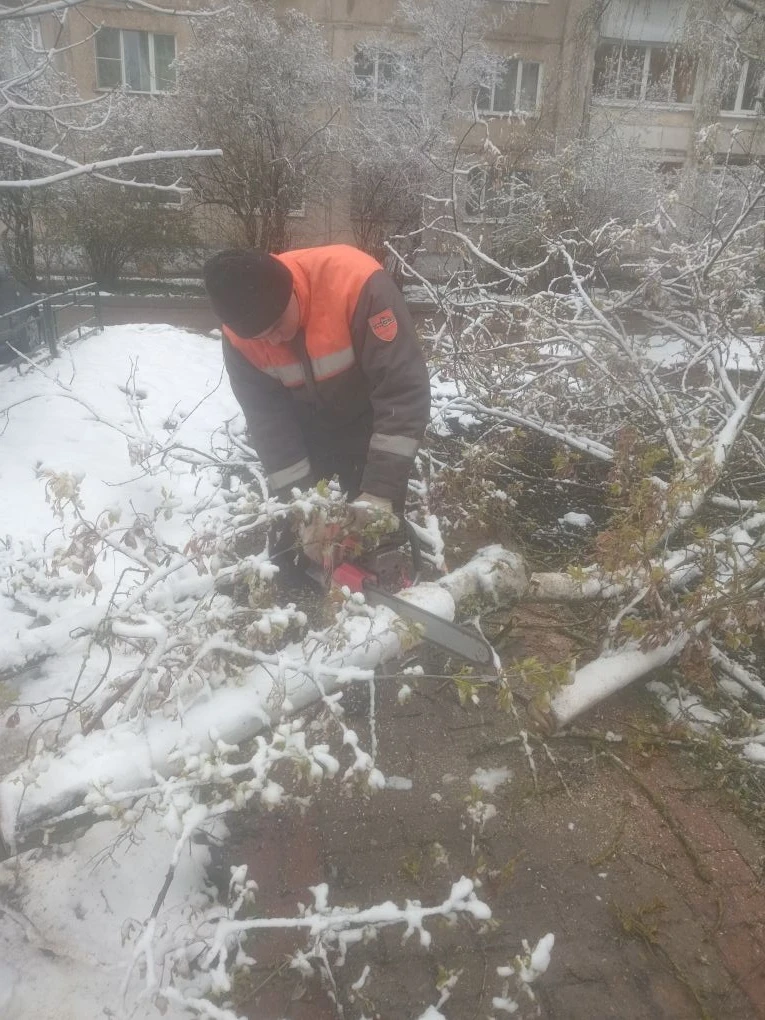 Апрельский снег в Красногорске: весна взяла паузу, а дворники - лопаты