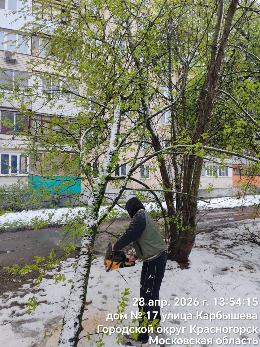 Апрельский снег в Красногорске: весна взяла паузу, а дворники - лопаты