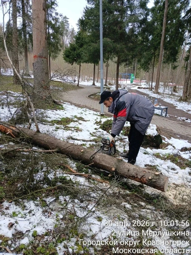 С каждым днем чище!