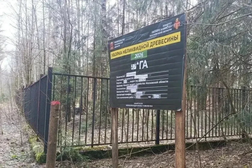В Красногорске ведут уборку неликвидной древесины в лесных массивах