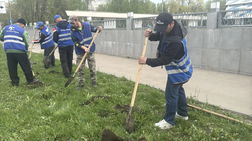 В рамках акции «Сад памяти» в Красногорске продолжаются высадки зеленых насаждений
