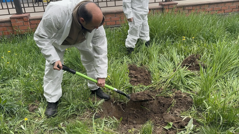 В Красногорске активно борются с борщевиком