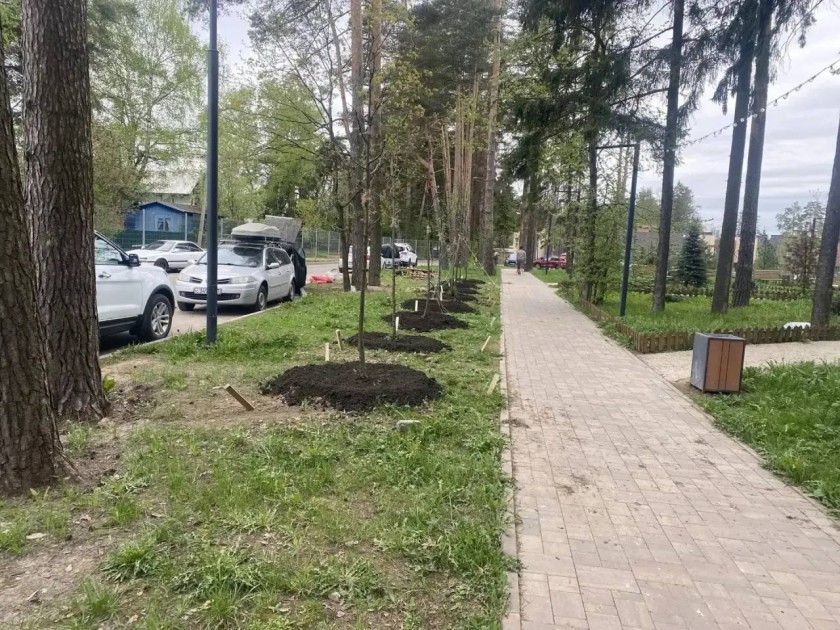 В ЖК «Лесная отрада» высадили 351 дерево в рамках акции «Сад памяти»