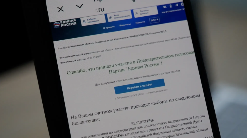 Предварительное голосование «Единой России» в Подмосковье проходит с 25 по 31 мая