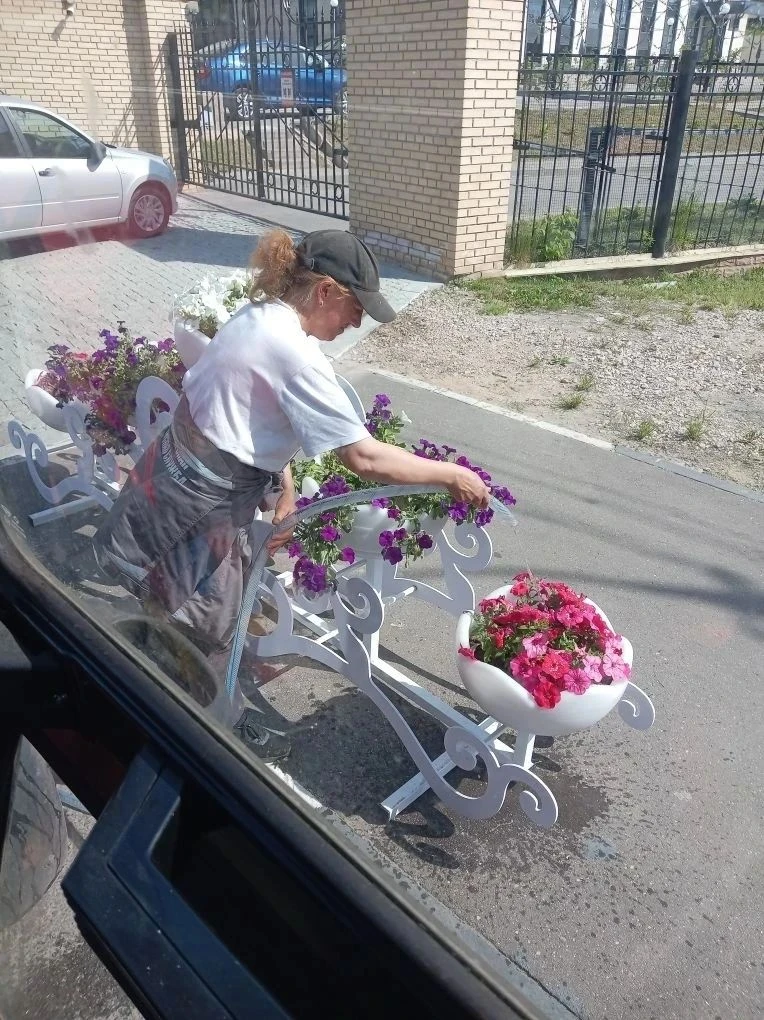 С каждым днем чище!