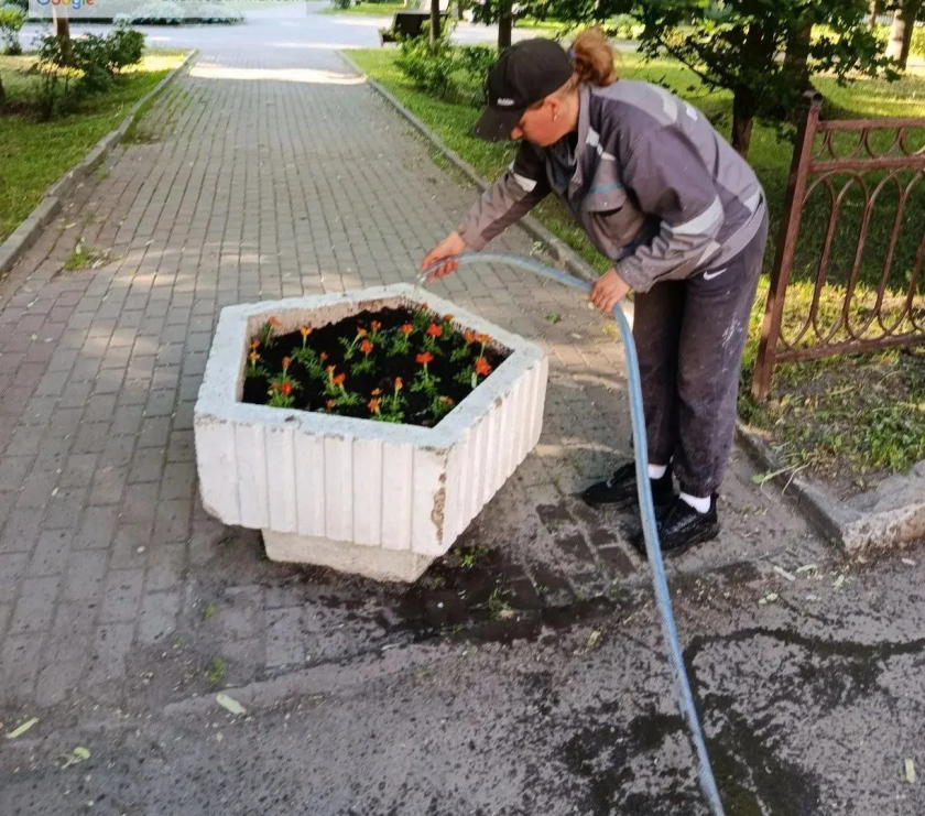 С каждым днем чище!