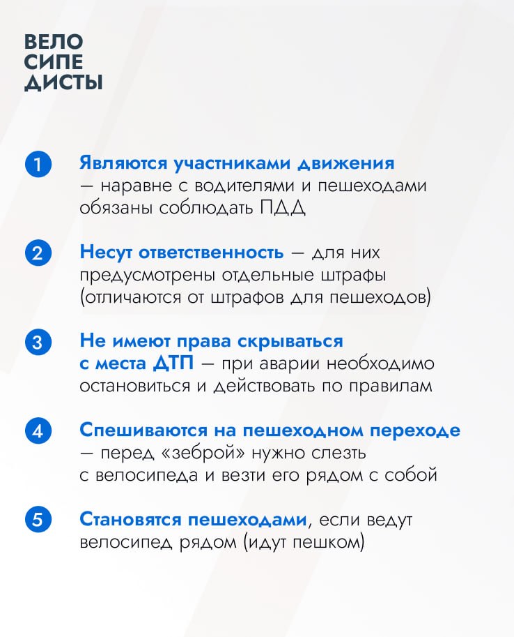 В Подмосковье велосипедный сезон в самом разгаре
